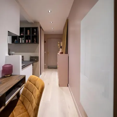 Studio Lumineux Et Cosy Avec Terrasse Dans Le 15e * Parigi